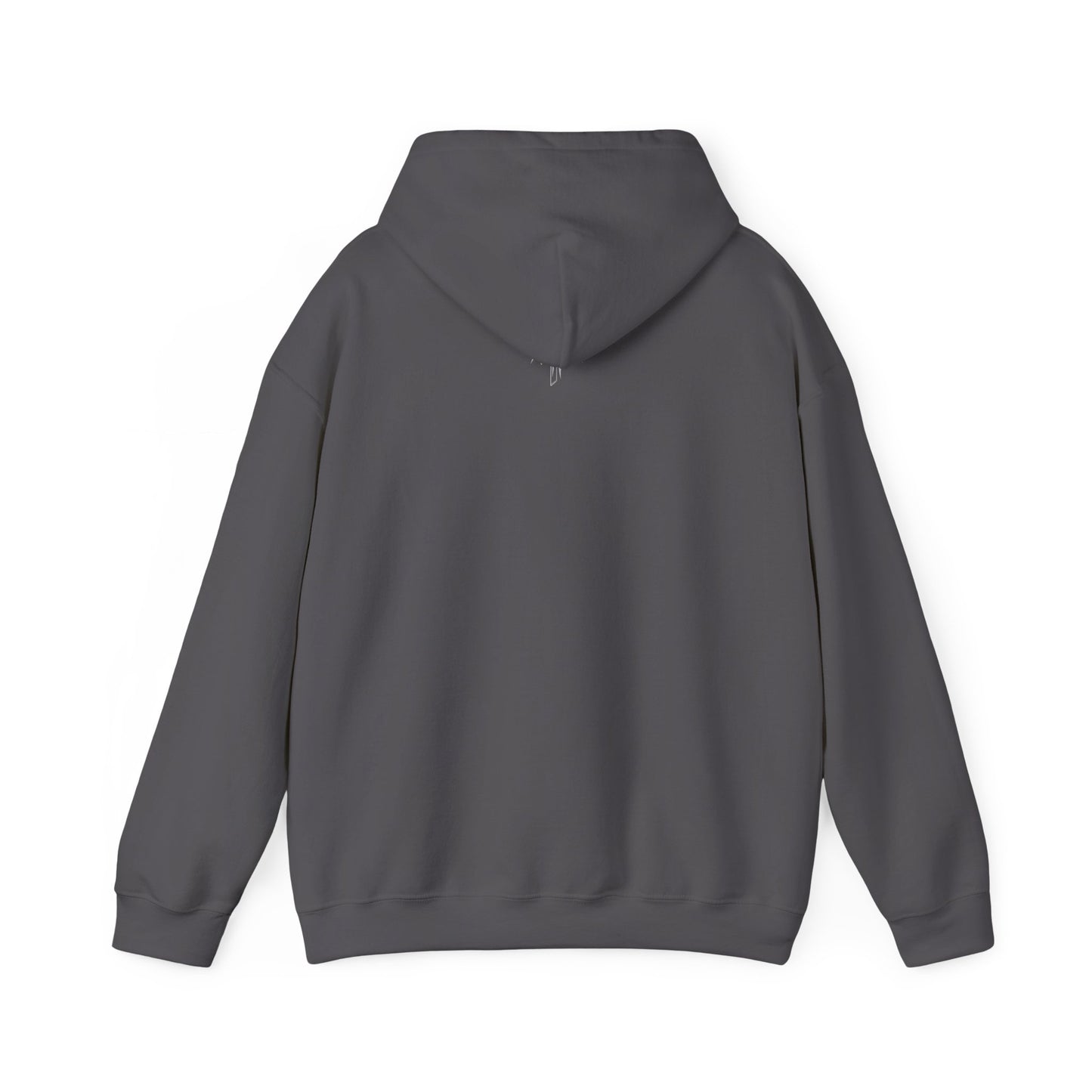 Hooded Sweatshirt (Mirrored Logo)