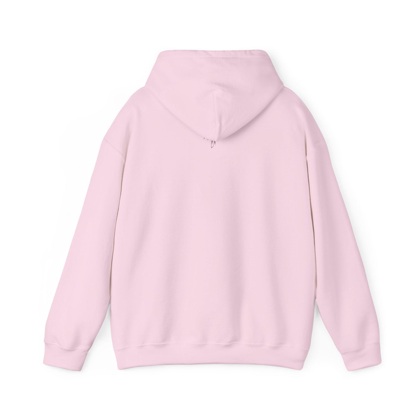Hooded Sweatshirt (Mirrored Logo)