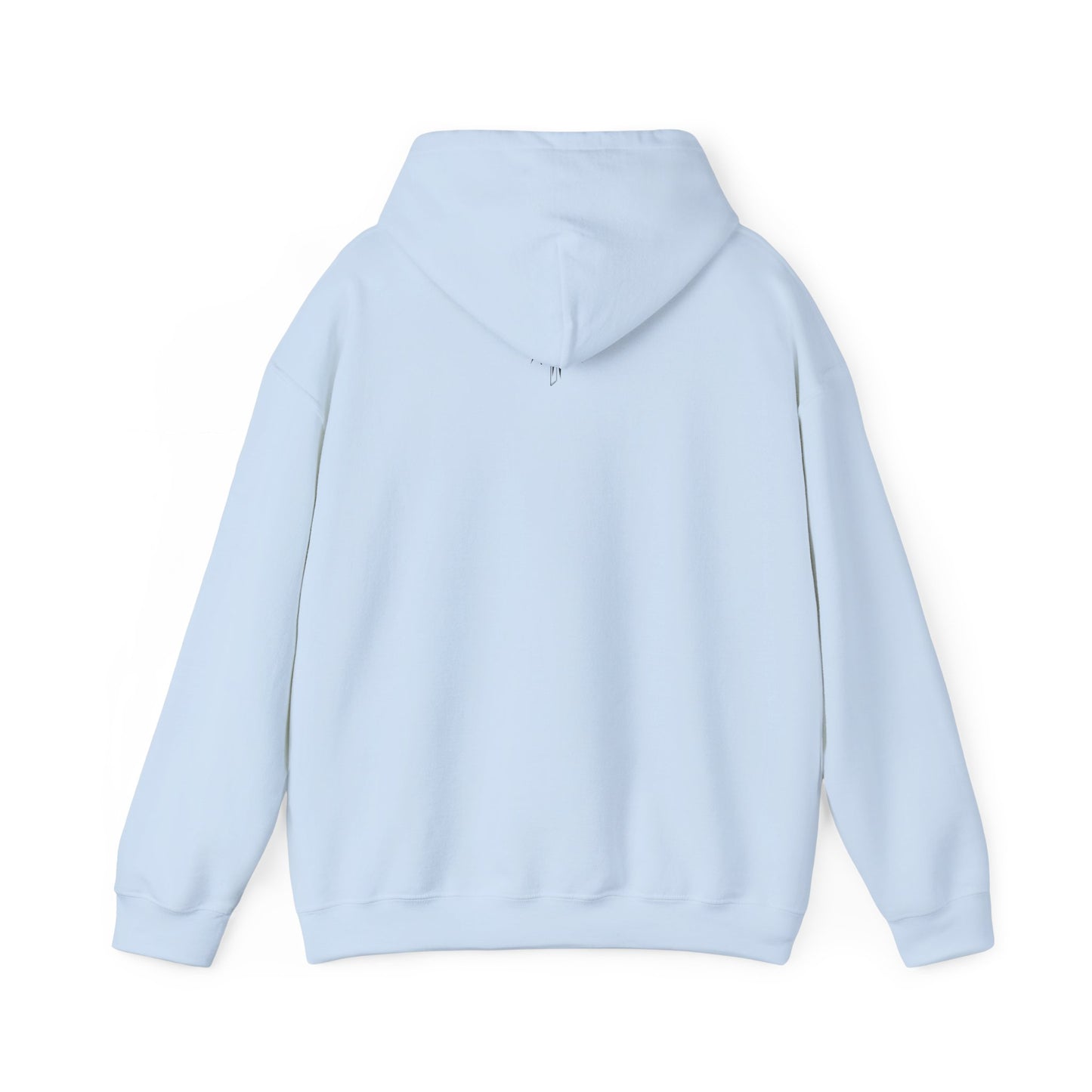 Hooded Sweatshirt (Mirrored Logo)