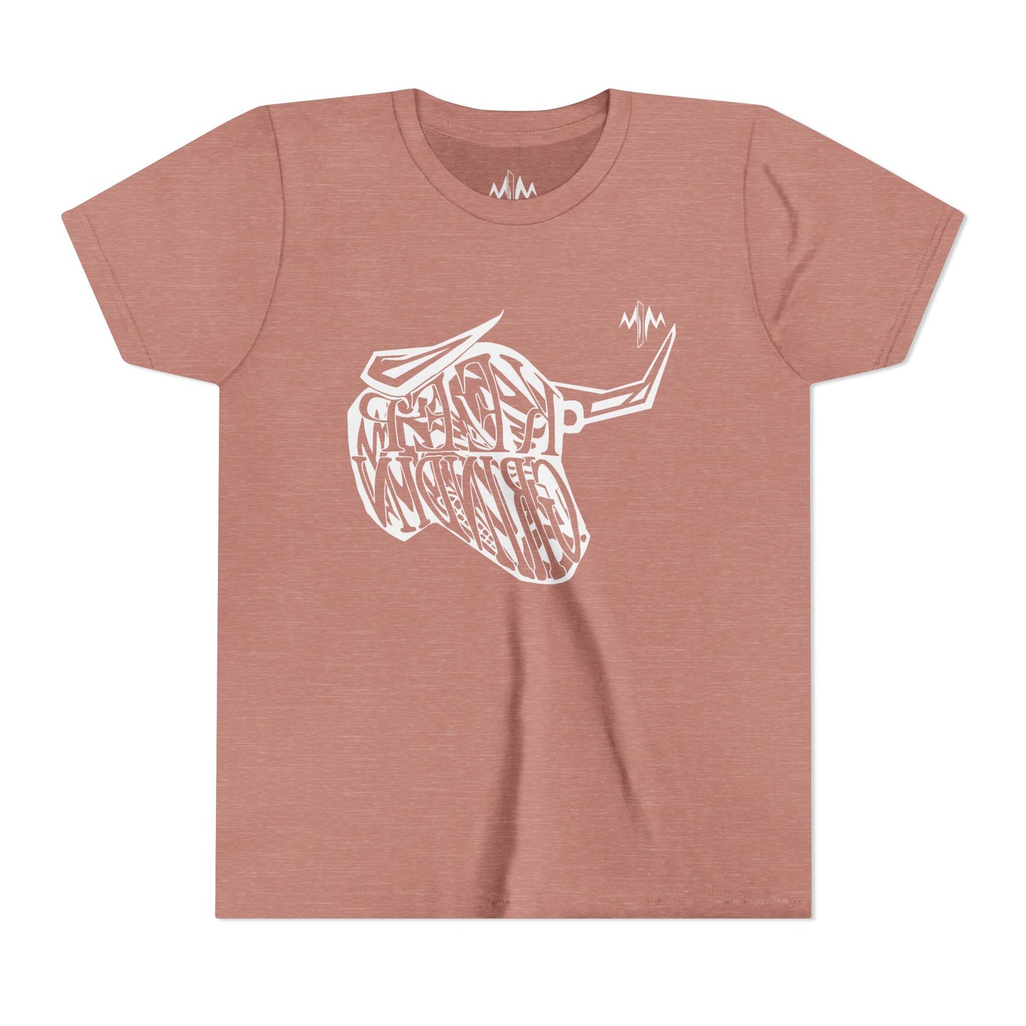 Kids Graphic T-Shirts (Bull)