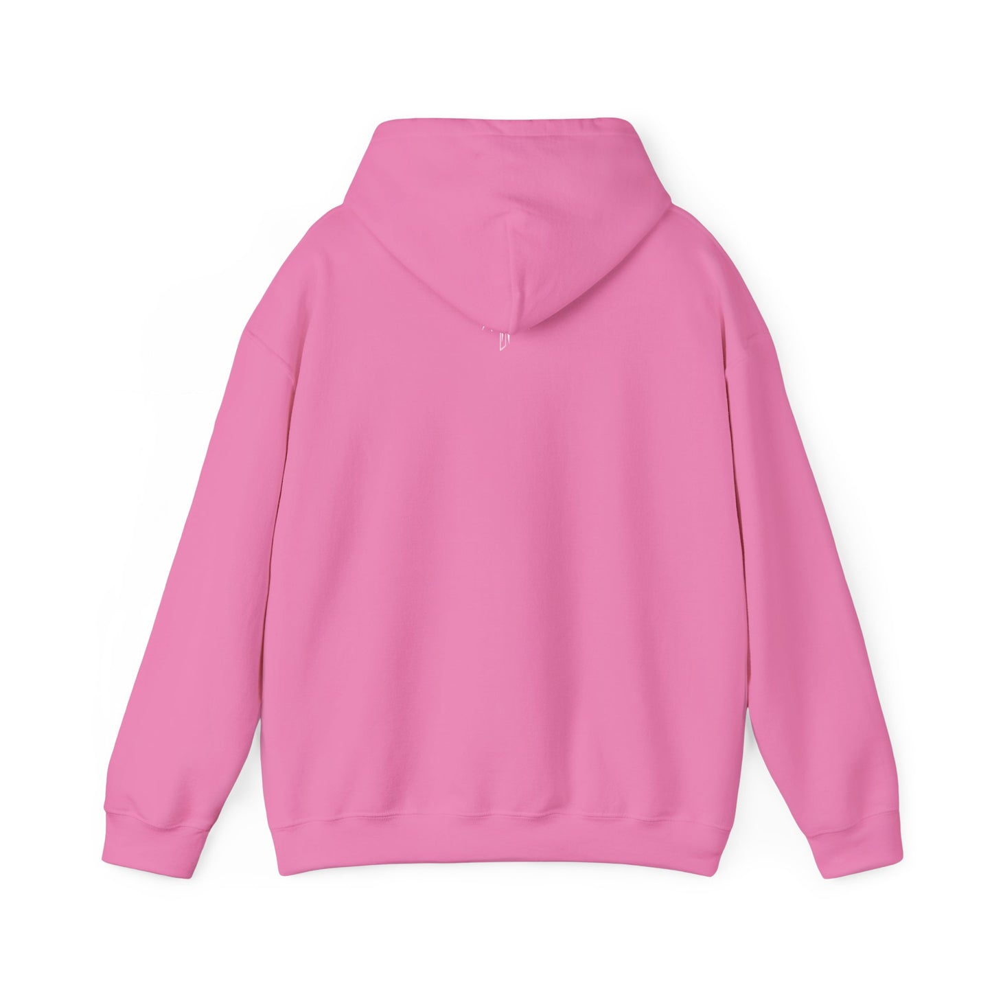 Hooded Sweatshirt (Mirrored Logo)