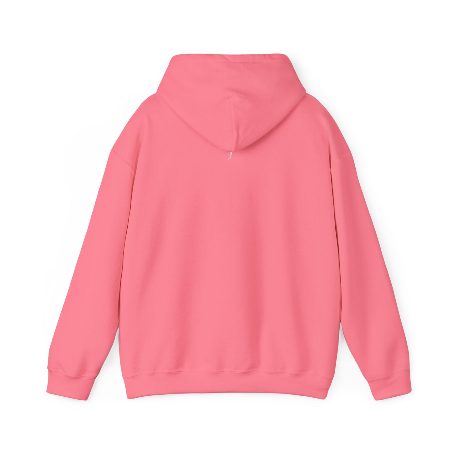 Hooded Sweatshirt (Mirrored Logo)