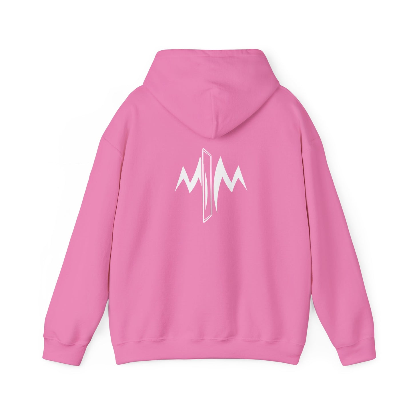Hooded Sweatshirt (Mirrored Logo)